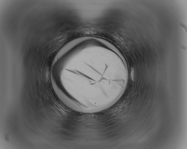 X0000090961444200708301152