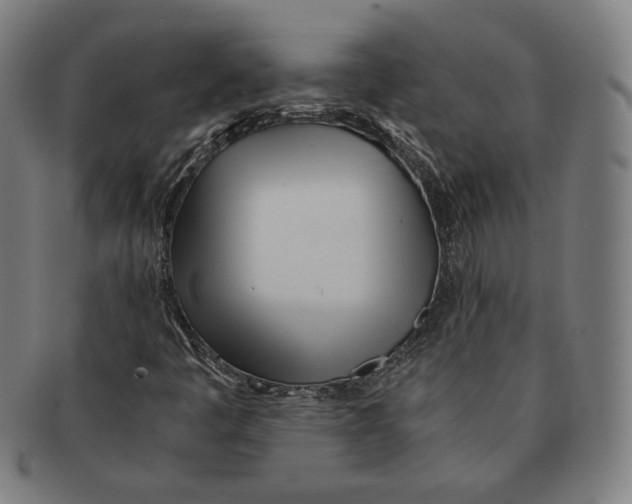 X0000090961445200708301152