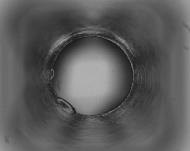 X0000090961448200708301152