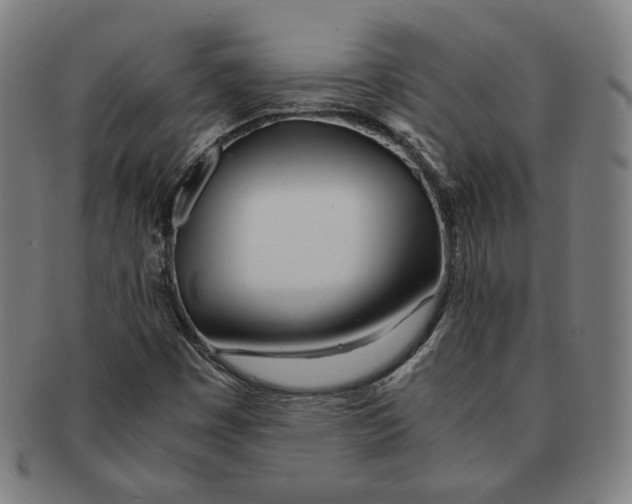 X0000090961449200708301152