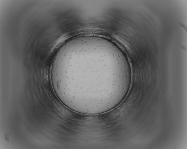 X0000090961451200708301152