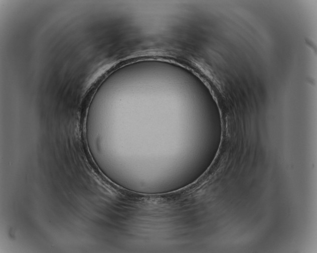 X0000090961452200708301151