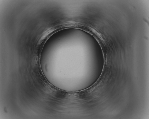 X0000090961453200708301151