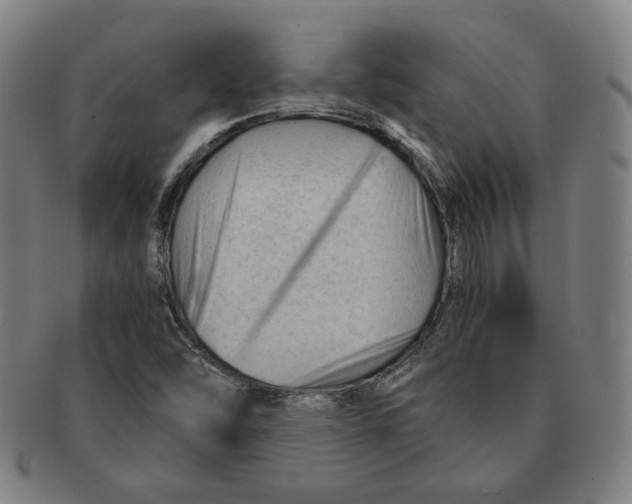 X0000090961454200708301151