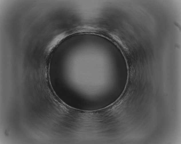 X0000090961455200708301151