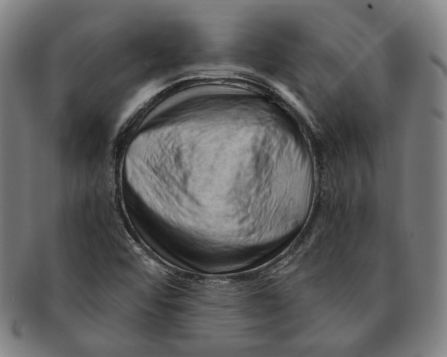X0000090961456200708301151