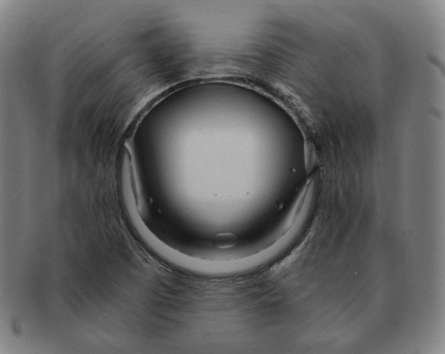 X0000090961457200708301151