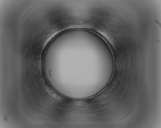 X0000090961460200708301151