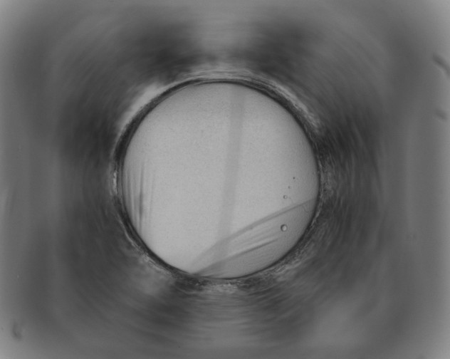 X0000090961462200708301151