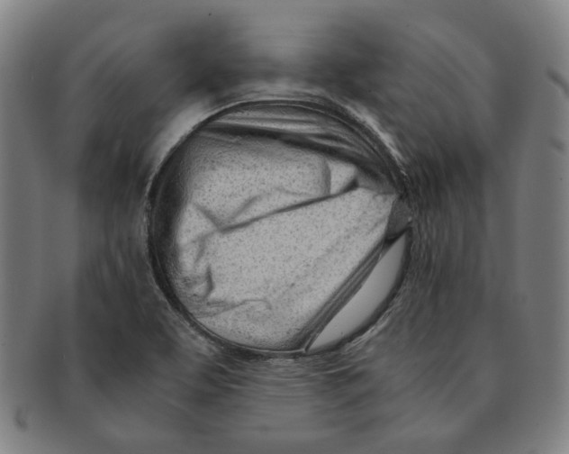 X0000090961463200708301151