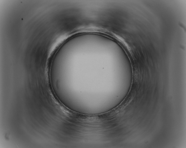 X0000090961464200708301151