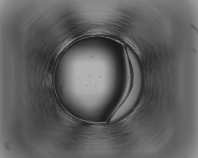 X0000090961465200708301151