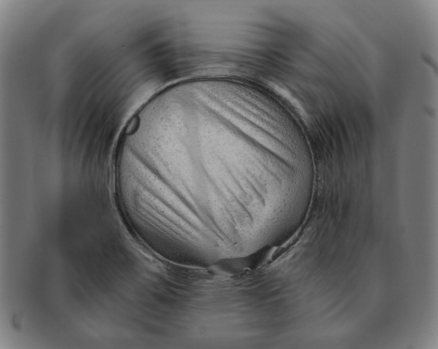 X0000090961467200708301151