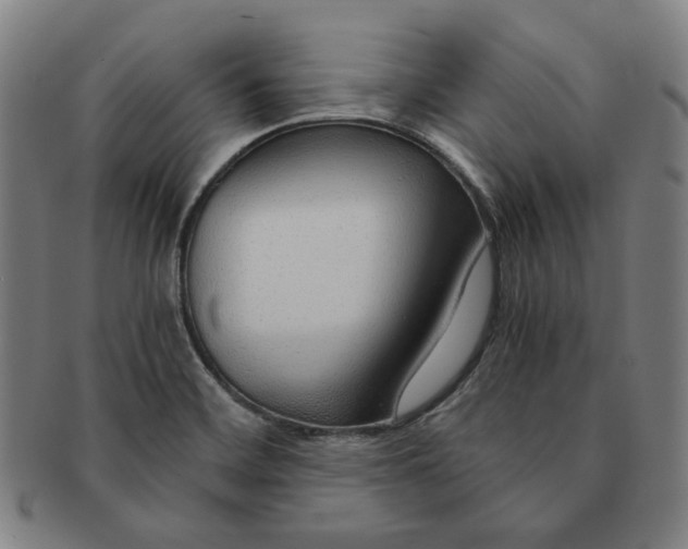 X0000090961468200708301151