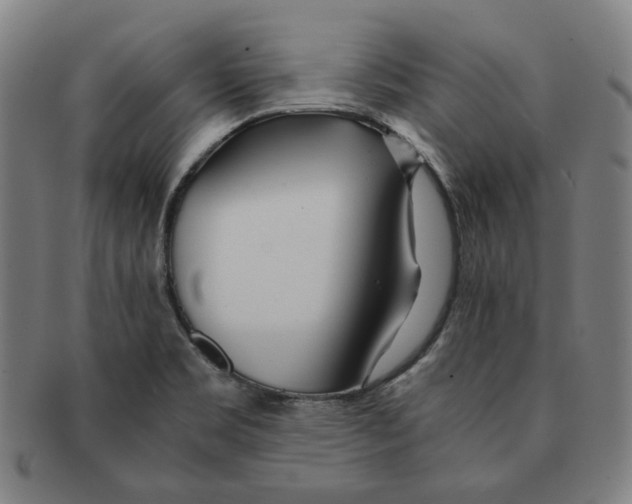 X0000090961469200708301151