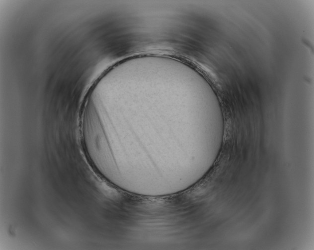 X0000090961470200708301151