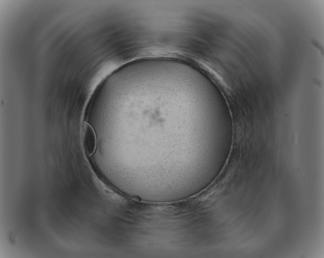 X0000090961471200708301151