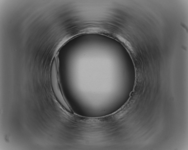 X0000090961473200708301151