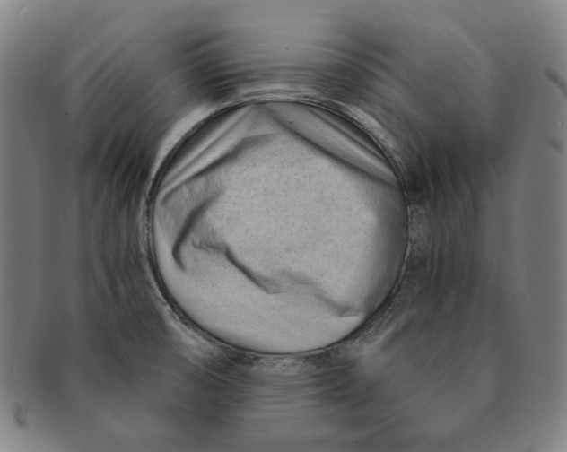 X0000090961474200708301151