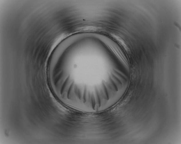 X0000090961475200708301151