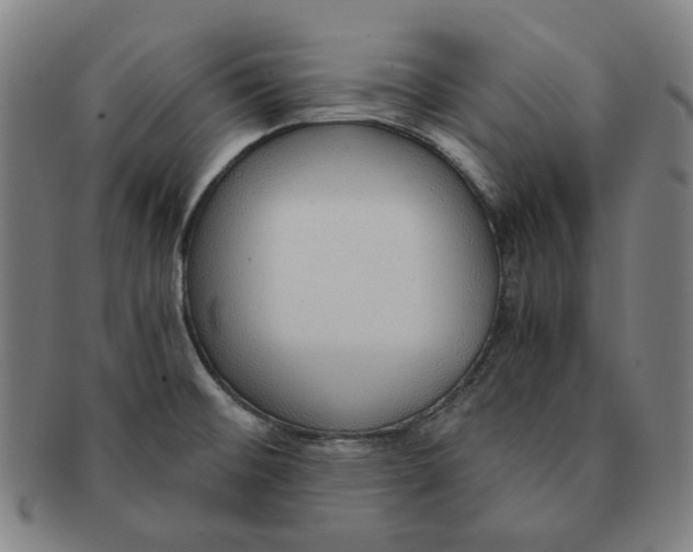 X0000090961476200708301151