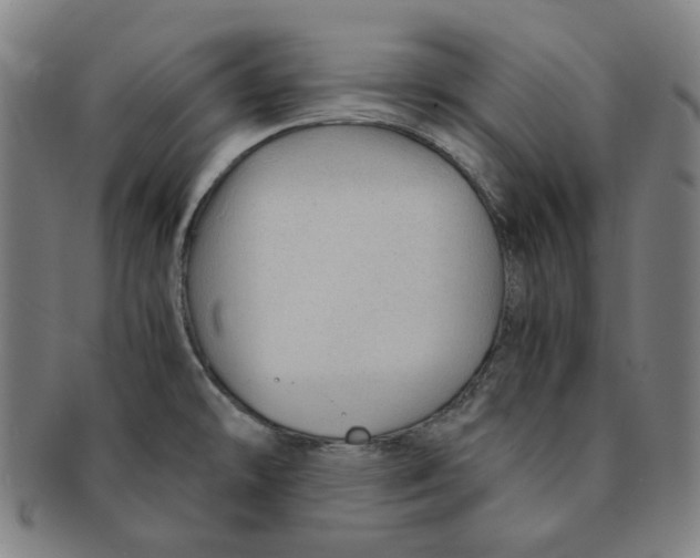 X0000090961478200708301151