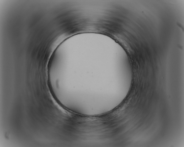 X0000090961479200708301151