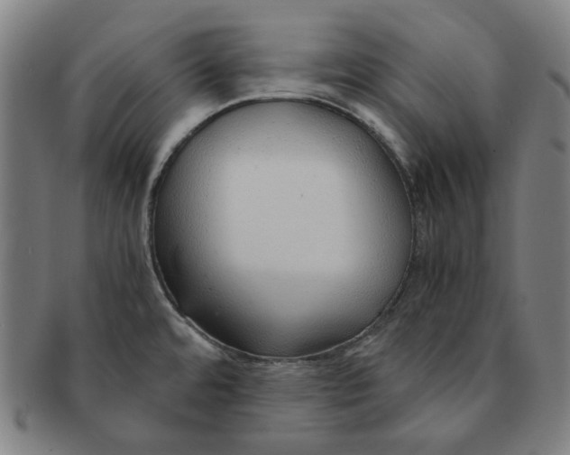 X0000090961480200708301151