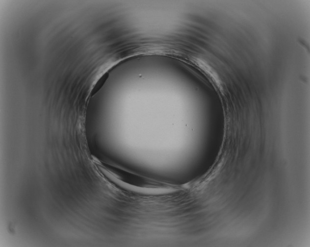 X0000090961481200708301151