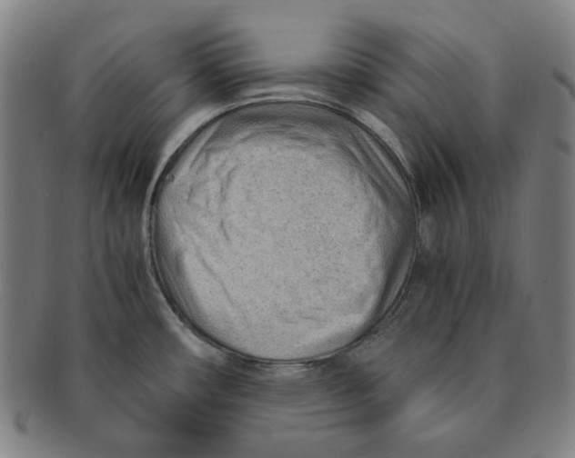 X0000090961482200708301151