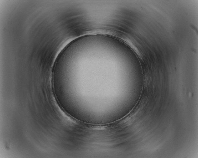 X0000090961484200708301151