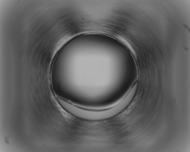 X0000090961485200708301151