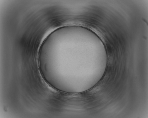 X0000090961486200708301151