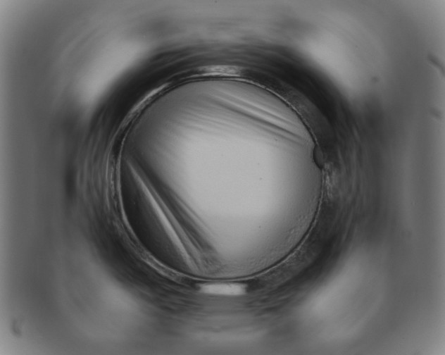 X0000090961487200708301151