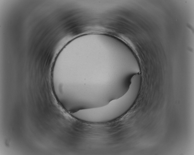 X0000090961488200708301151