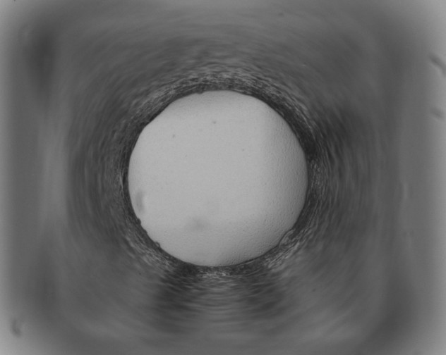 X0000090961489200708301150