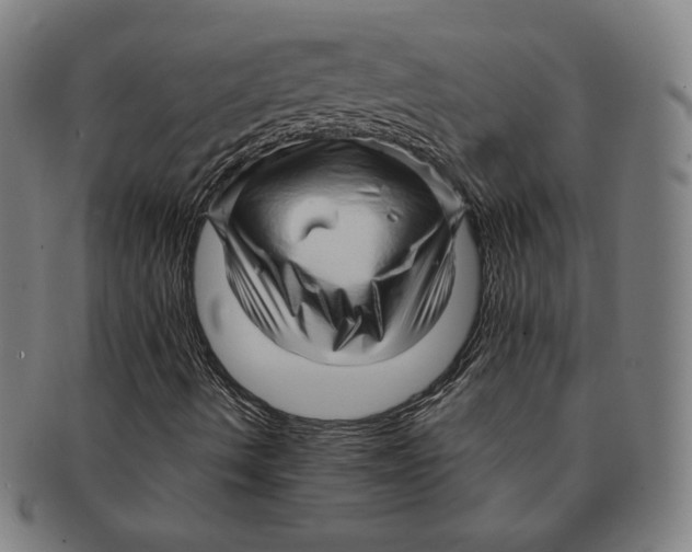 X0000090961490200708301150