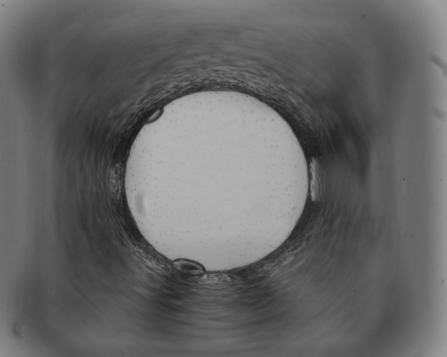 X0000090961491200708301150