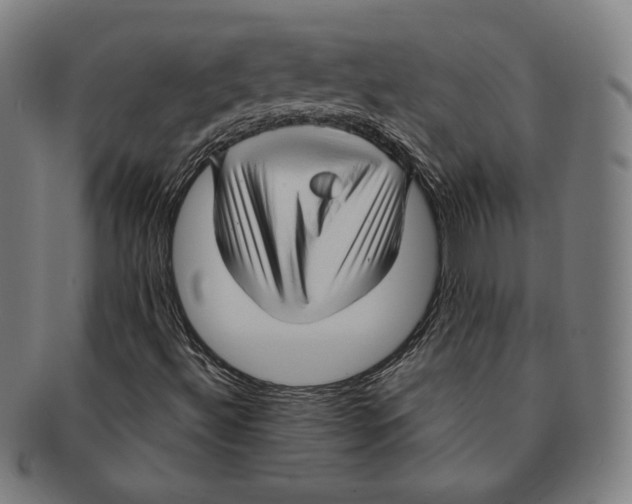 X0000090961492200708301150