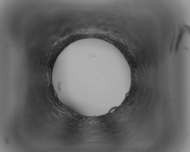 X0000090961493200708301150