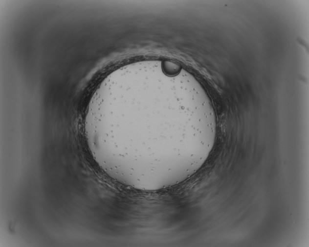 X0000090961495200708301150