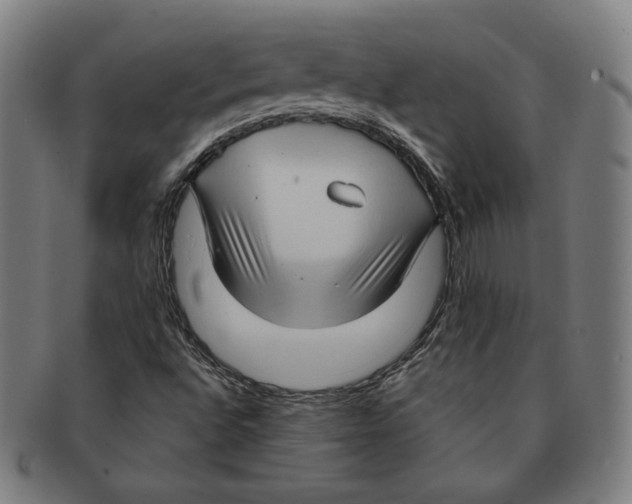 X0000090961496200708301150