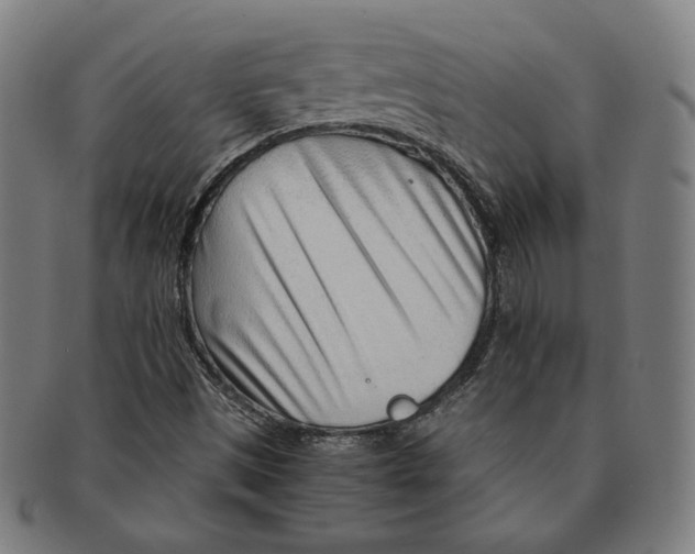 X0000090961497200708301150