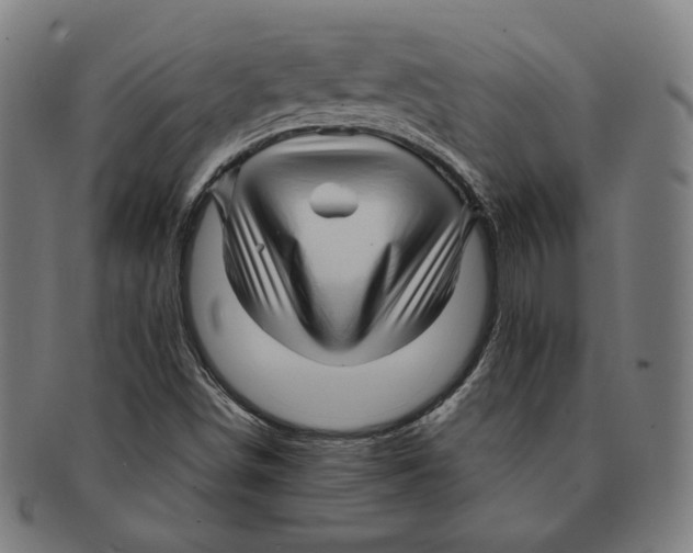 X0000090961498200708301150