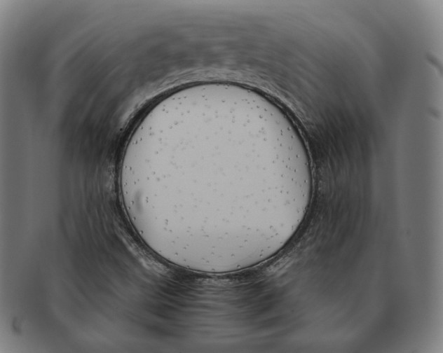 X0000090961499200708301150