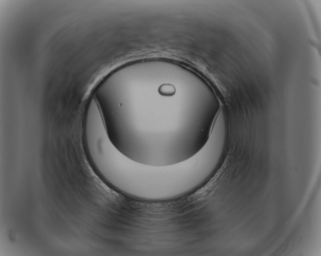 X0000090961500200708301150