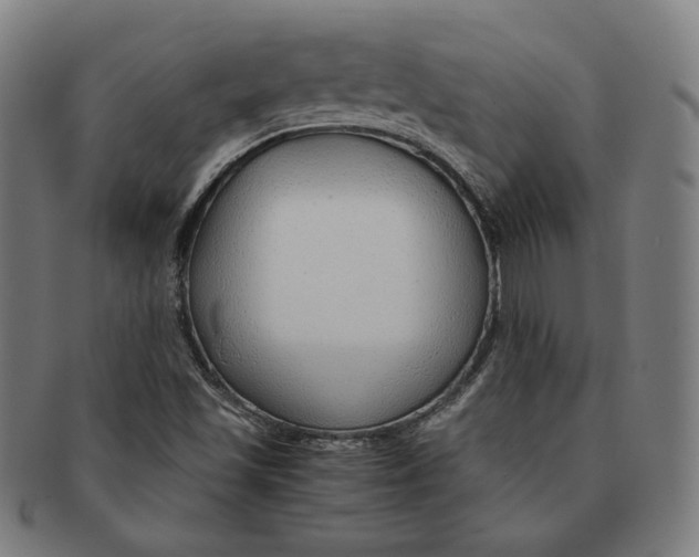 X0000090961501200708301150