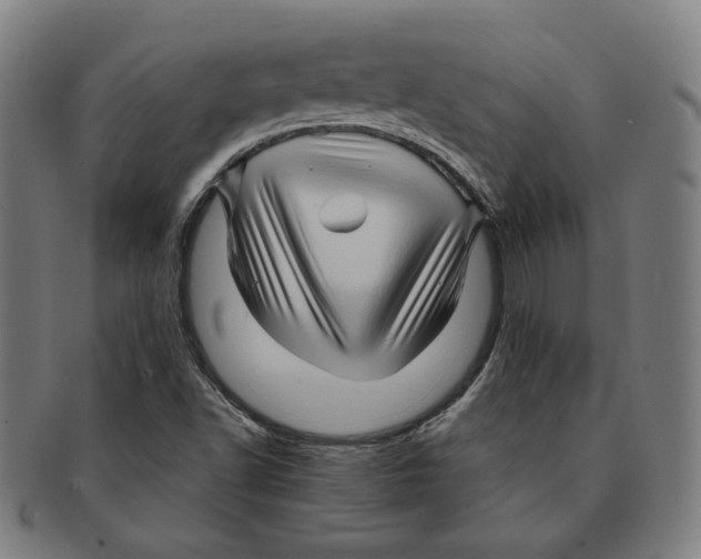 X0000090961502200708301150