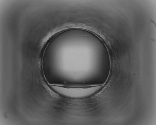 X0000090961503200708301150