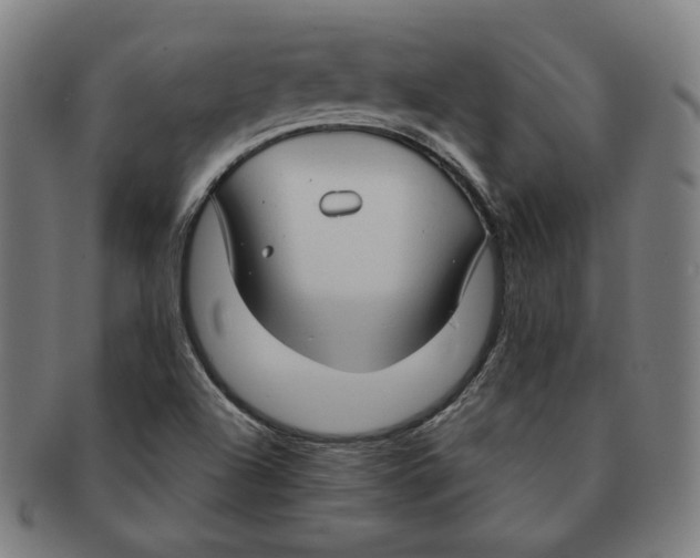 X0000090961504200708301150